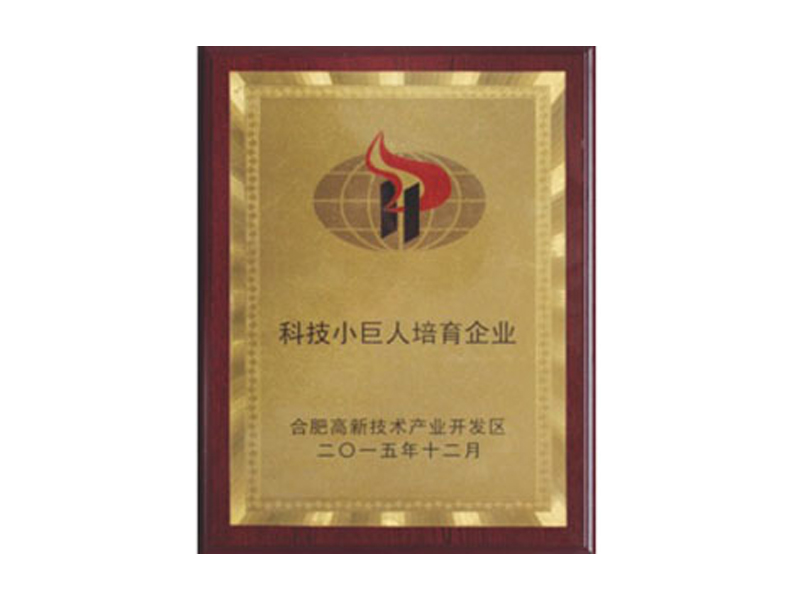 企業(yè)榮譽(yù)-合肥燕美新材料,合肥燕美新材料科技有限公司-家電行業(yè)粉末涂料,汽車(chē)粉末預(yù)料,MDF粉末涂料